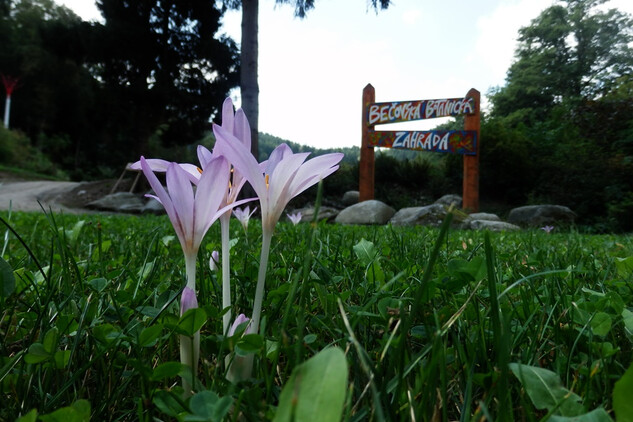 Bečovská botanická zahrada