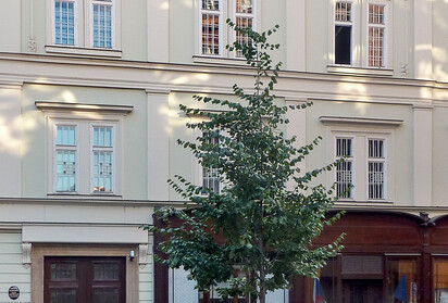 Sídlo pražského ÚOP v červenci 2015 (detail průčelí)
