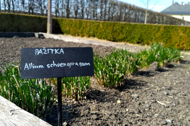 Bylinková zahrada v Kuksu