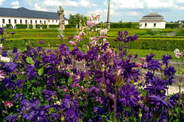 Bylinková zahrada v Kuksu