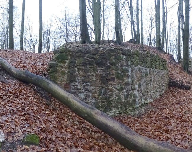 Hrad Starý Světlov, východní část parkánové hradby, stav po dokončení konzervačních prací, pohled od východu (foto: Vrla 2025)