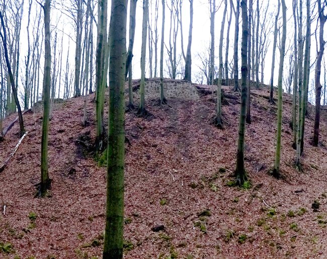 Hrad Starý Světlov, celkový pohled na hradní jádro od severovýchodu, uprostřed a vlevo konzervované úseky parkánové hradby (foto: Vrla 2025)