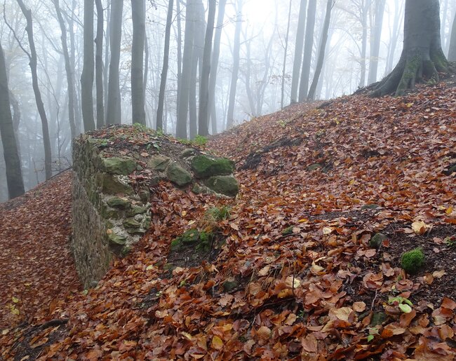 Hrad Starý Světlov, východní část parkánové hradby, stav po dokončení konzervačních prací, pohled od západu (foto: Vrla 2023)