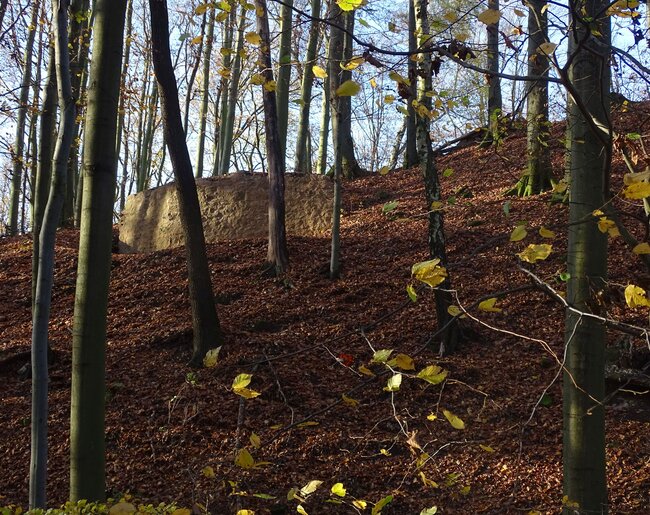 Hrad Starý Světlov, východní část parkánové hradby po provedení konzervace, pohled od severu (foto: Vrla 2023)