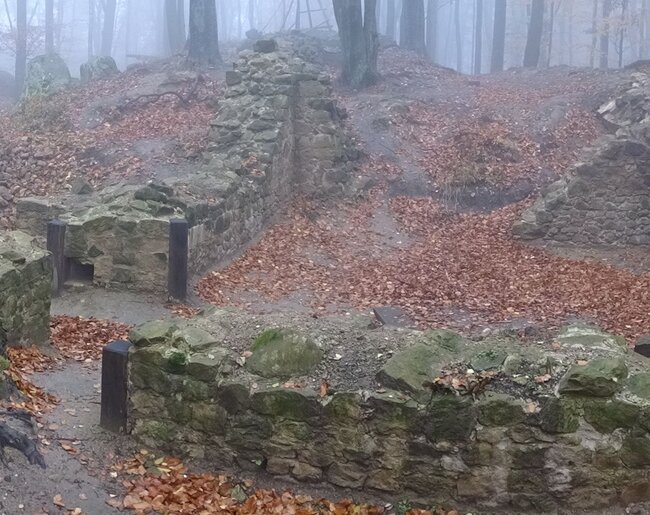 Hrad Starý Světlov, celkový pohled od jihovýchodu na zakonzervované zdivo paláce (foto: Vrla 2025)
