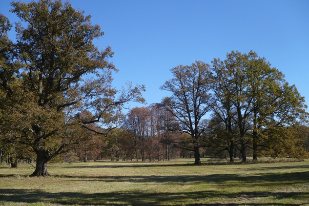 Červený Dvůr, zámecký park.