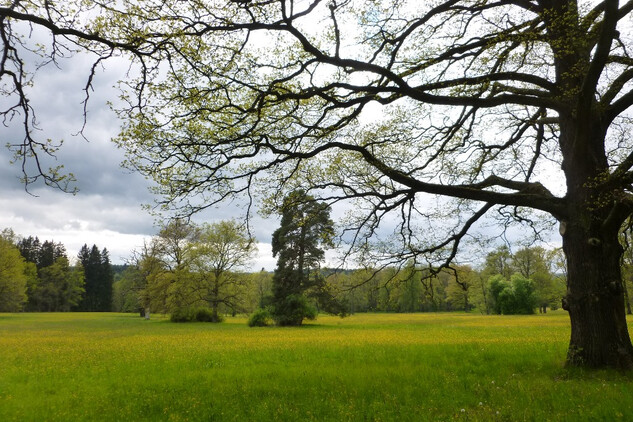 Červený Dvůr, zámecký park.