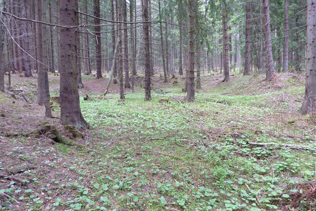 Kyselka