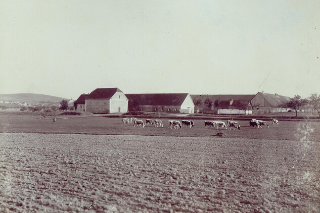 Bijadla, hospodářský dvůr se sýpkou, snímek z archivu MěÚ Přeštice, odboru školství, vnitřních věcí a památkové pče