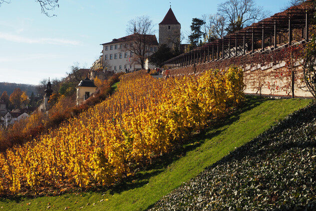 Méně známý pohled na Hrad, Lobkovický palác a Černou věž